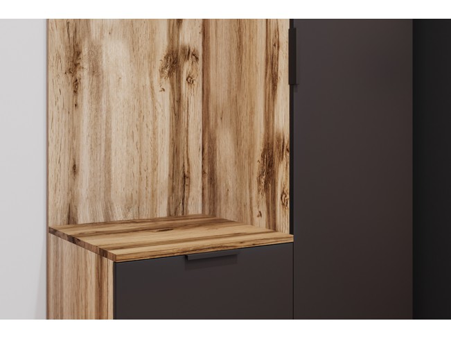 Szafa garderoba Lomi 1 czarny/dąb wotan